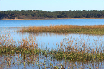 Great Island, Wellfleet, MA